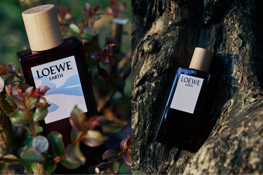LOEWE Earth & Khúc Mạnh Quân: Mùi hương của chiều sâu đương đại LOEWE Earth & Khúc Mạnh Quân: Mùi hương của chiều sâu đương đại