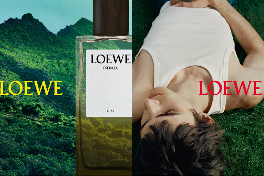 LOEWE Perfumes: Những “sắc xanh” dành riêng cho người cha hiện đại