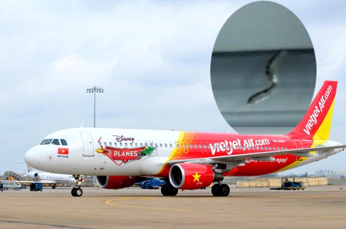 Phát hiện rắn trong khoang hành khách máy bay của Vietjet Air
