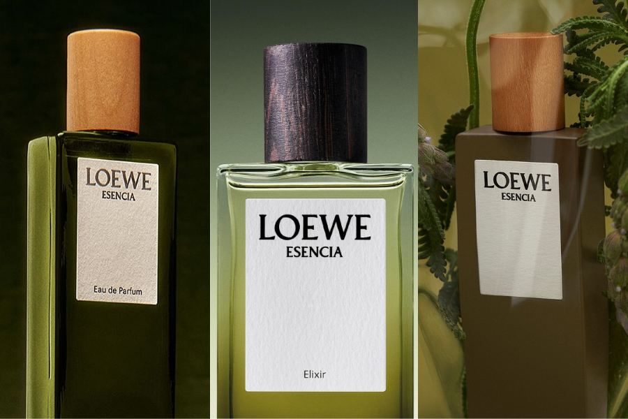 LOEWE ESENCIA - Ba phiên bản, một bản sắc nam tính vượt thời gian